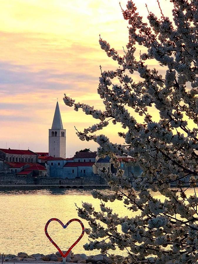 Apartman Perla Deluxe Poreč Dış mekan fotoğraf